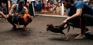 Xem trực tiếp bóng đá việt nam hôm nay. Uw88 Nha Cai Ca Ä'á»™ Ä'a Ga Trá»±c Tuyáº¿n Ä'a Ga Äƒn Tiá»n Sá»' 1 Viá»‡t Nam