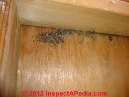 Carpenter ant nests are often confused with termite nests, because they're both contained within the wood of homes. Carpenter Ants Recognition Inspection For Infestation Structural Damage Prevention Cure