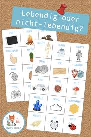 Lebendig Oder Nicht Lebendig Sortierspiel In 2020 Unterrichtsmaterial Spiele Im Unterricht Biologie