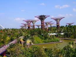Singapore Garden By The Bay Amazing Photos Part 2 Singapore Garden Gardens By The Bay Cool Photos