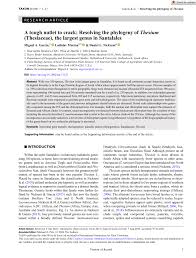 Image result for Thesium megalocarpum