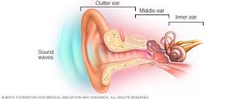 hearing loss symptoms and causes mayo clinic