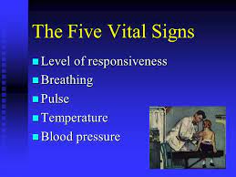 The fifth vital sign book. Vital Signs The Five Vital Signs N Level Of Responsiveness N Breathing N Pulse N Temperature N Blood Pressure Ppt Download
