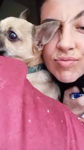 Britt Fletcher (@brittfletcher)