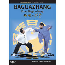 Innere kampfkünste in anderen sprachen: Dvd Baguazhang 49 95