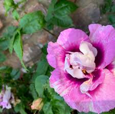 Profile for Heyford Grange Orchard & Events