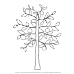Start drawing the apple by drawing. Learn How To Draw An Apple Tree Trees Step By Step Drawing Tutorials