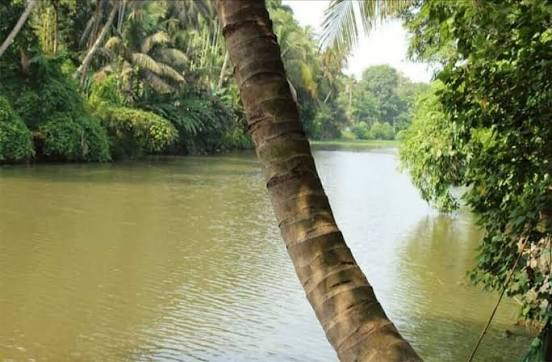 Pampa River in Kuttanad. Source: Authors' collection from the field | Download Scientific Diagram