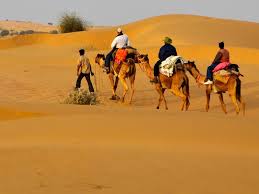 How much does a trip to machu picchu cost? Rajasthan Camel Safari Tour 166801 Holdiay Packages To New Delhi Jaipur Jodhpur Jaisalmer Bikaner