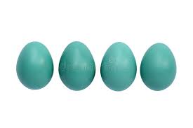 The hexadecimal rgb code of robin egg blue color is #00cccc and the decimal is rgb(0,204,204). Robin Eggs Stock Image Image Of Blue Feather Symbol 19726121