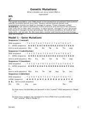 24, 25, and 26 3. Abdallah Al Obaidi Student Genetic Mutations Pogil Docx Genetic Mutations What Mistakes Can Occur When Dna Is Replicated Why The Genes Encoded In Course Hero