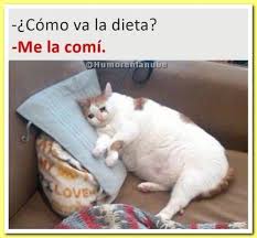 Rustic Jumpsuit Nurse Memes Humor Work Memes Nursing Memes