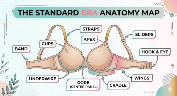 The Bottom Line: Your Bra Size Is a Starting Point