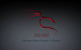 We've gathered more than 5 million images uploaded by our users . Wallpaper Red Dragon Kali Linux On Desktop Com Desktop Wallpaper Pictures Images