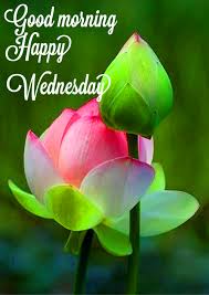 Check spelling or type a new query. Good Morning Wednesday Images Wallpaper Download Happy Wednesday Good Morning Images Download 640x905 Download Hd Wallpaper Wallpapertip