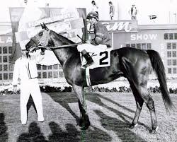 Image result for White 1971 Fleet