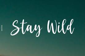 The wild script font contains 653 beautifully designed characters. Stay Wild Stunning Script Font 995798 Handwritten Font Bundles