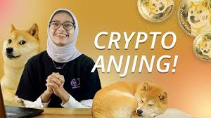 We did not find results for: Mengenal Cryptocurrency Dogecoin Doge Harga Naik Karena Elon Musk Youtube