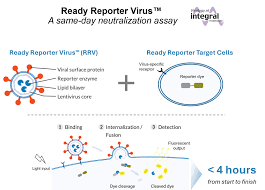 Image result for Neutralization Test