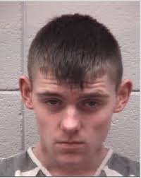 Two teens charged with residential burglary