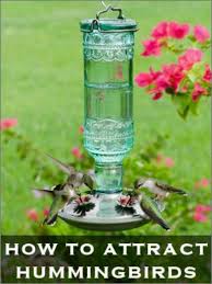 Hummingbird Feeder Comederos De Colibris Bebedero Colibri Comederos Para Pajaros