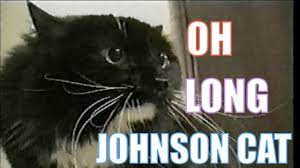 Talking Cat Saying Oh Long Johnson - YouTube