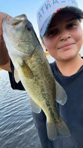 Took me a few hours of catching bluegill to catch this guy. Fun night