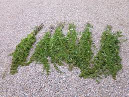 Image result for site:byggahus.se Östergötaland