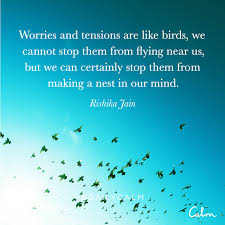 Cannot Fly Birds That Don T Fly Worries And Tensions Are Like Birds We Cannot Stop Them From Flying Near Us But We Can Cert Negative Effects Of Stress Daily Calm Stress Reduction Techniques