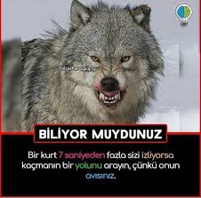 bilgi panosundaki pin