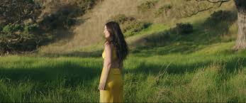 There's a new photo on lorde's website: N4p3yrwxsyde9m