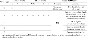 The illness that results from a toxin produced by the bacteria is called clostridium perfringens enteritis. Diversity Of C Perfringens Toxinotypes And Associated Diseases Download Table