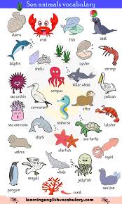 Fish Sea Animals And Reptiles Vocabulary Pdf Learn English Vocabulary Learning English For Kids Animals Name In English