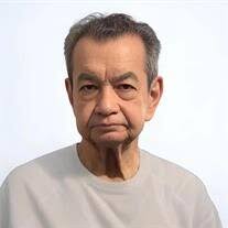 Francisco Partida Obituary