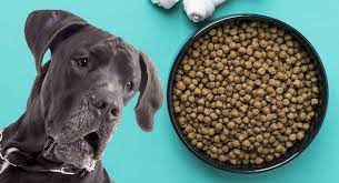 Dry dog food for great dane puppy. Best Dog Food For Great Danes And Other Large Breeds