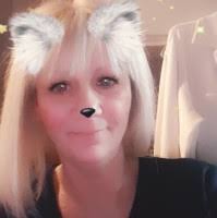 40+ "Dipippo" profiles