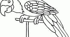 32 Gambar Burung Kakak Tua Kartun 45 Gambar Kakak Tua Terbaik Hewan Burung Cantik Dan Binatang Download Cara Menggambar Burung Hantu Di 2020 Kartun Sketsa Gambar
