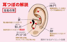 「耳もみ」の画像検索結果