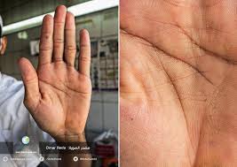 معلومات مفيدة تحدث إلى اليد قصص الحياة في صور كف اليد للمصور اللبناني عمر رضا