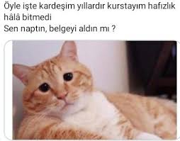 Huma Kusu Adli Kullanicinin Peceli Hafize Panosundaki Pin 2020 Mizah Islam Mimarisi Hafiz