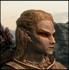 This Female Wood Elf Is The Closest Look To My Skyrim Character I Could Find On Google Images Of Course I M Usually Cosplay Characters Skyrim Fantasy Fiction