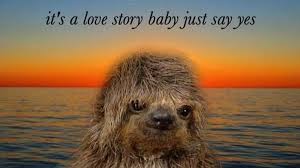 Image 517793 Sloths Know Your Meme