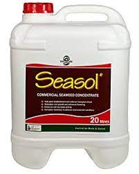 Maybe you would like to learn more about one of these? Seasol Commercial Strength 20 Litre Enfield Produce