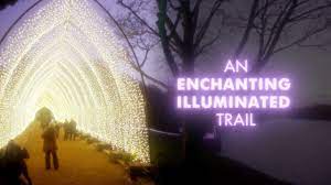 Lightscape At Brooklyn Botanic Garden Youtube