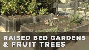 Kumquats, figs, key limes, blueberries and navel oranges are just some of the fruits you'll harvest in this beautifully landscaped garden retreat. Espalier Trees For Every Garden Garden Design