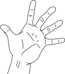 Palm Of Hand Transparent Png Clipart Free Download Palm Of Hand Drawing How To Draw Hands Knitting Hand Health