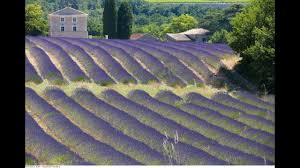 Bienvenue à la ferme vaucluse. World On Board Bienvenue En Vaucluse Provence Youtube