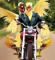 Happy Thanksgiving From The Lot Biker Art Biker Chicks Funny Animals