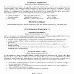 Professional Academic Resume Template Beautiful Homeless Shelter ...