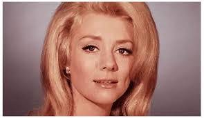 Inger Stevens's Instagram, Twitter & Facebook